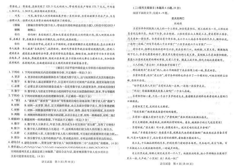 湖北省武汉市2023届高三年级五月模拟训练试题-语文02