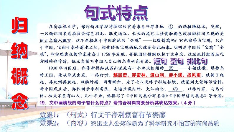 高考语文复习--   高考语文试题难点疑点突破练8（课件）第6页