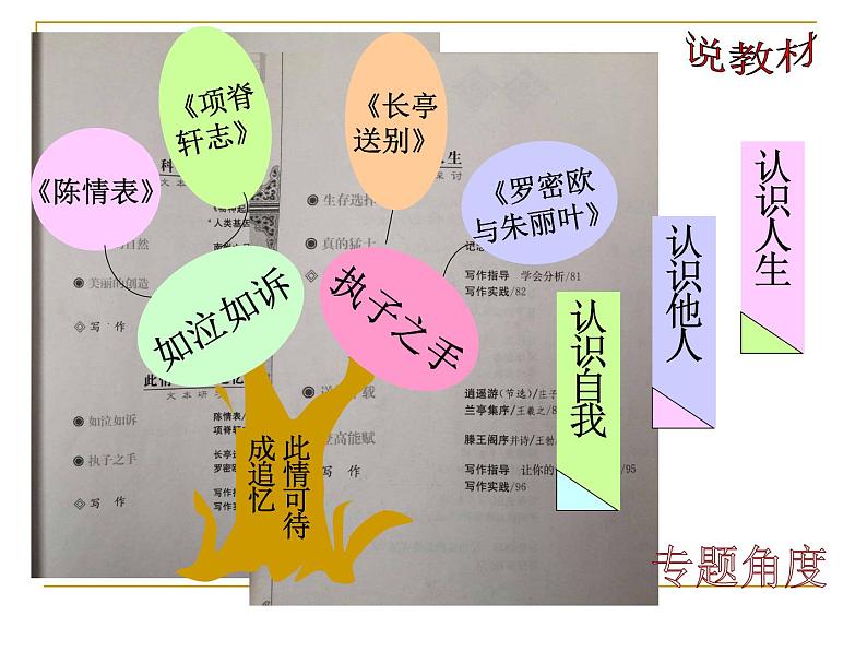 《项脊轩志》说课课件2022-2023学年统编版高中语文选择性必修下册第6页