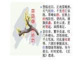 古诗词诵读《桂枝香·金陵怀古》课件2022-2023学年统编版高中语文必修下册