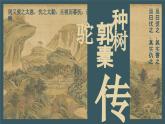 11《种树郭橐驼转》课件 2022-2023学年统编版高中语文选择性必修下册