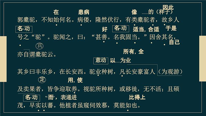 11《种树郭橐驼转》课件 2022-2023学年统编版高中语文选择性必修下册第6页