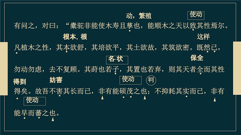 11《种树郭橐驼转》课件 2022-2023学年统编版高中语文选择性必修下册第7页