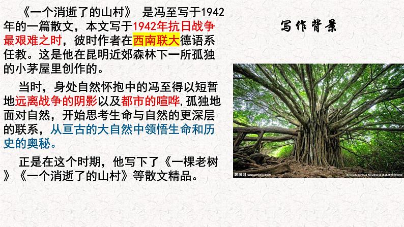 7.1《一个消逝了的山村》课件 2022-2023学年统编版高中语文选择性必修下册第6页