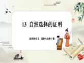 13《自然选择的证明》任务群课件PPT