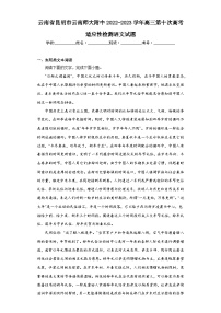 云南省昆明市云南师大附中2022-2023学年高三第十次高考适应性检测语文试题（含解析）