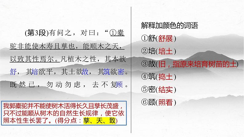 《种树郭橐驼传》-2023年新高考语文文言文复习之课内精选篇目梳理课件PPT第6页