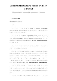 2022-2023学年云南省曲靖市麒麟区帅亚高级中学高二2月月考语文试题含解析