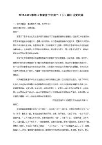 2022-2023学年山东省济宁市高二（下）期中语文试卷（含解析）