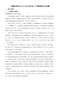 2022阜阳高二下学期期末考试语文试题含解析