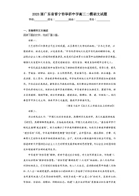 2023届广东省普宁市华侨中学高三二模语文试题（含解析）
