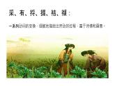 6.1《芣苢》课件 2022-2023学年统编版高中语文必修上册