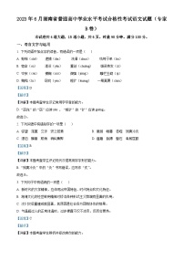 湖南省普通高中2023年6月学业水平考试合格性考试语文试题（专家B卷）（Word版附解析）