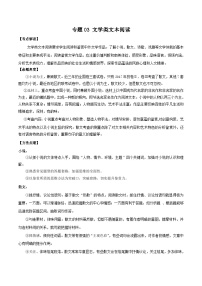 高考语文二轮复习专题03  文学类文本阅读（含解析）