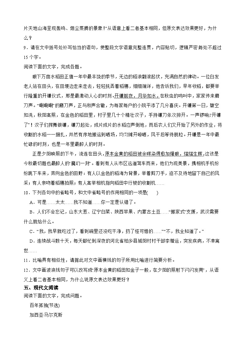 2023年高考语文整本书阅读练习——《百年孤独》夯实基础（三）03