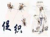 专题16  促织（精品课件）-高一语文同步培优精品课件+教学设计（统编版必修下册）