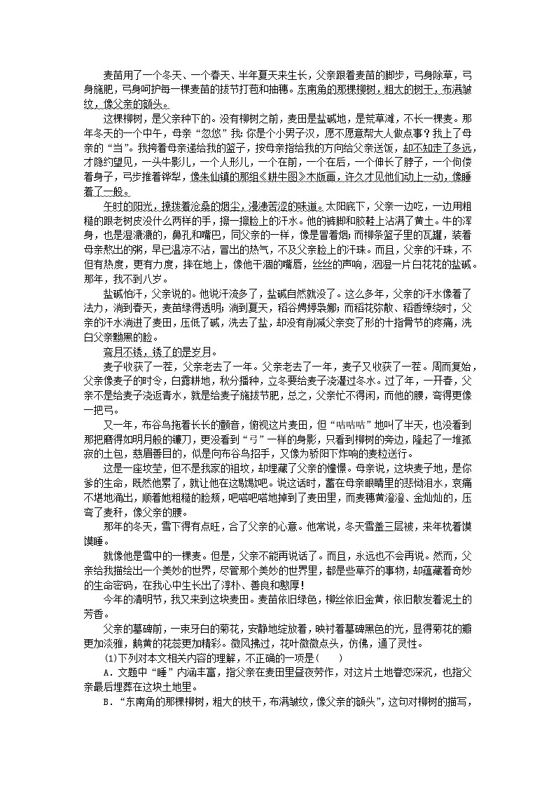 新高考2024版高考语文一轮复习第二部分综合强化练习第60练语言表达+名句默写+散文阅读第3页
