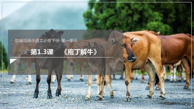 1.3 《庖丁解牛》（课件）02