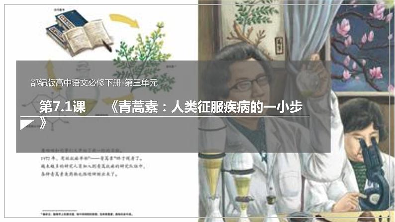 7.1 《青蒿素：人类征服疾病的一小步》（课件）第3页