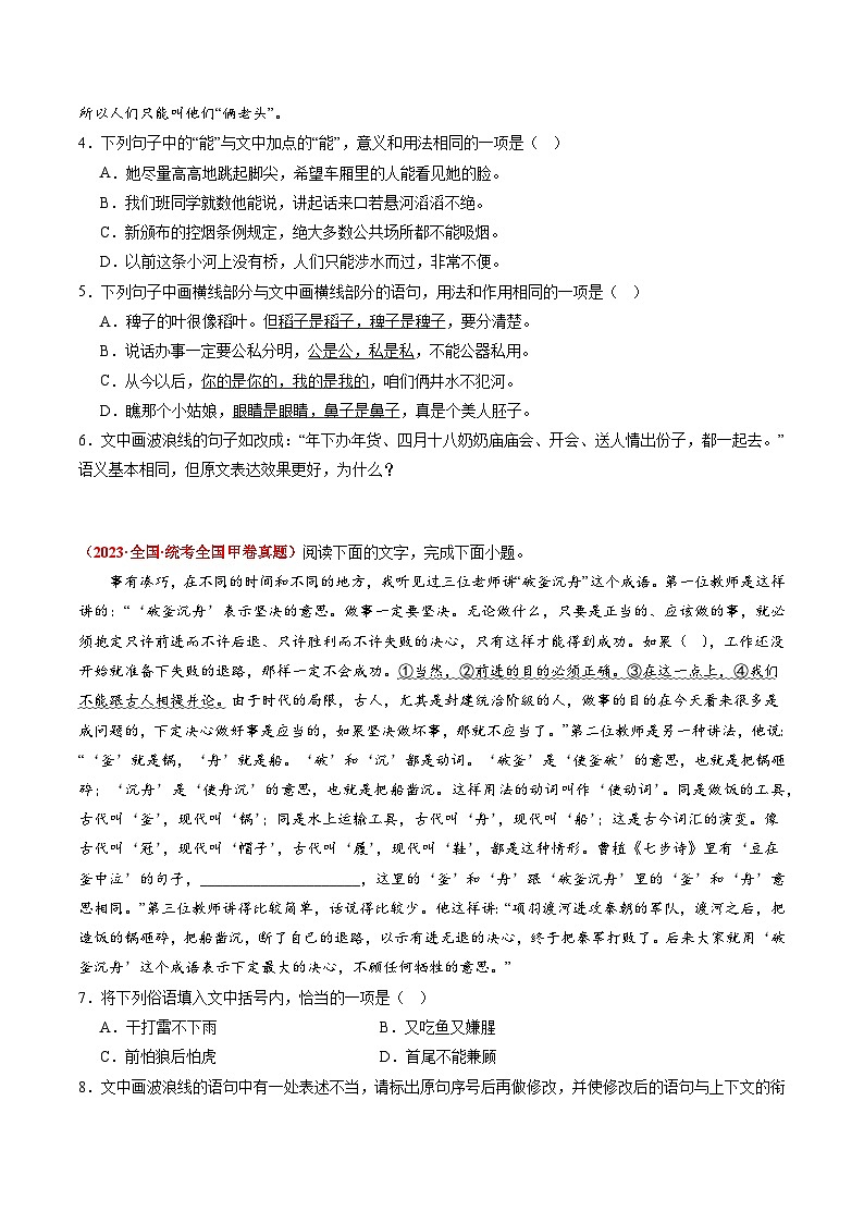 专题09 语言文字运用（综合题）-2023年高考真题和模拟题语文分项汇编（原卷版）02