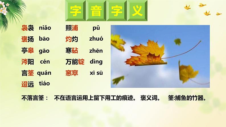 9 《说“木叶”》课件+教案04