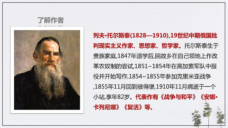 9《复活（节选）》课件05