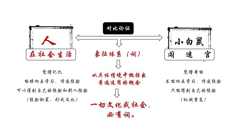 整本书阅读《乡土中国》之《再论文字下乡》课件-2022-2023学年高一语文统编版必修上册同步备课第6页