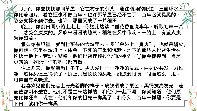 2023年高考语文新课标I卷现代文阅读II《给儿子》主观题解析、策略及教学建议 课件第5页