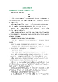 山东省部分地区2022-2023学年高一下学期期末语文试卷汇编：文学类文本阅读