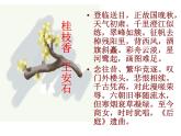 统编版高中语文-必修下册-桂枝香金陵怀古（精品课件）