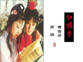统编版高中语文-必修下册-红楼梦 阅读课件