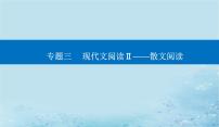 2023高考语文二轮专题复习与测试第一部分专题三精准突破二概括内容要点题课件