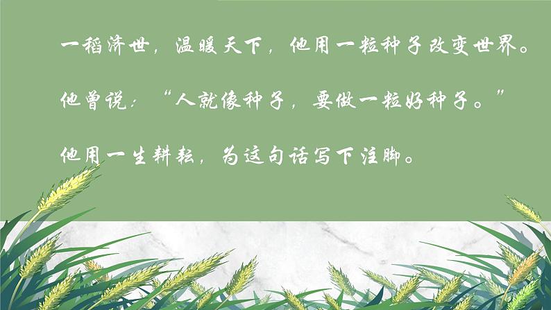 高中语文统编版必修上册4.1《喜看稻菽千重浪》课件02