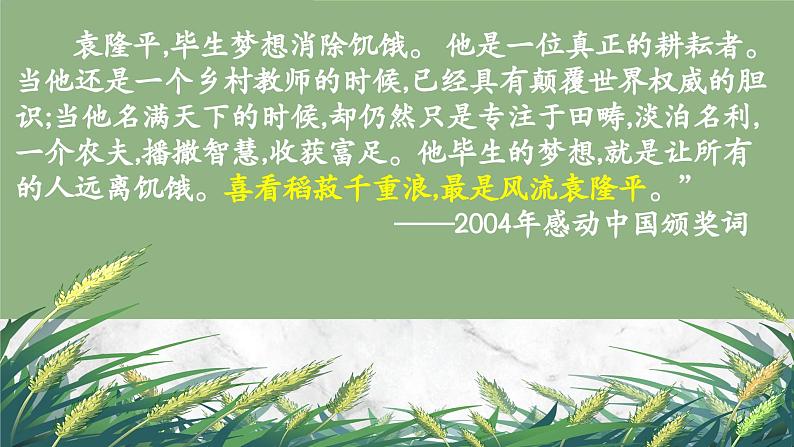 高中语文统编版必修上册4.1《喜看稻菽千重浪》课件03