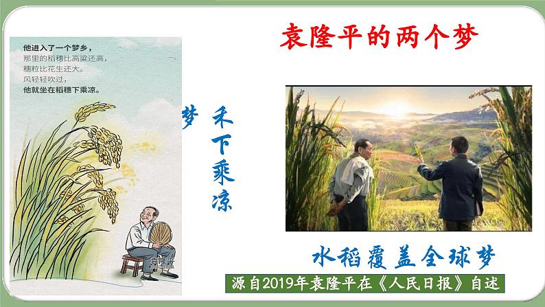 高中语文统编版必修上册4.1《喜看稻菽千重浪》课件04