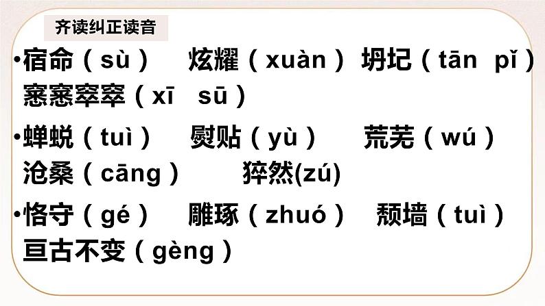 统编版高中语文必修上册15 我与地坛 课件07