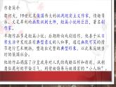 13.《装在套子里的人》课件PPT