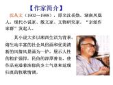 5.2《边城（节选）》课件  2022-2023学年统编版高中语文选择性必修下册