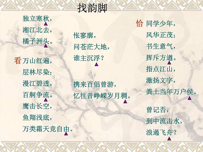 1《沁园春·长沙》课件：2023-2024学年统编版高中语文必修上册05