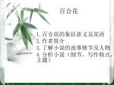 3.1《百合花》课件 2023-2024学年统编版高中语文必修上册