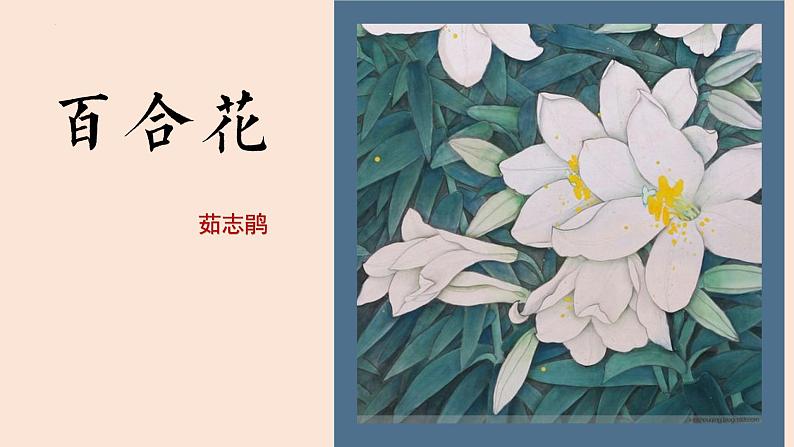 《百合花》课件 2023-2024学年统编版高中语文必修上册第1页