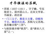 9.1《念奴娇·赤壁怀古》课件  2023-2024学年统编版高中语文必修上册