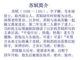 9.1《念奴娇·赤壁怀古》课件  2023-2024学年统编版高中语文必修上册