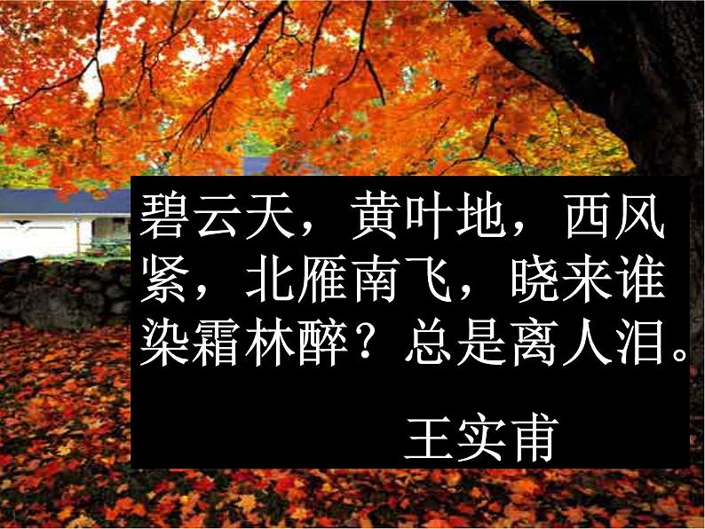 14.1《故都的秋》课件 2023-2024学年统编版高中语文必修上册第3页