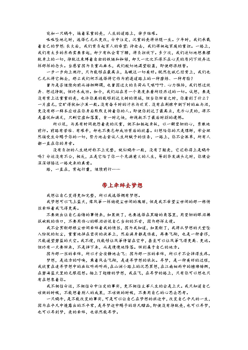 高考语文二轮专题复习学案：写作典型案例（四）第3页