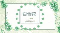 高中人教统编版3.1 百合花备课课件ppt