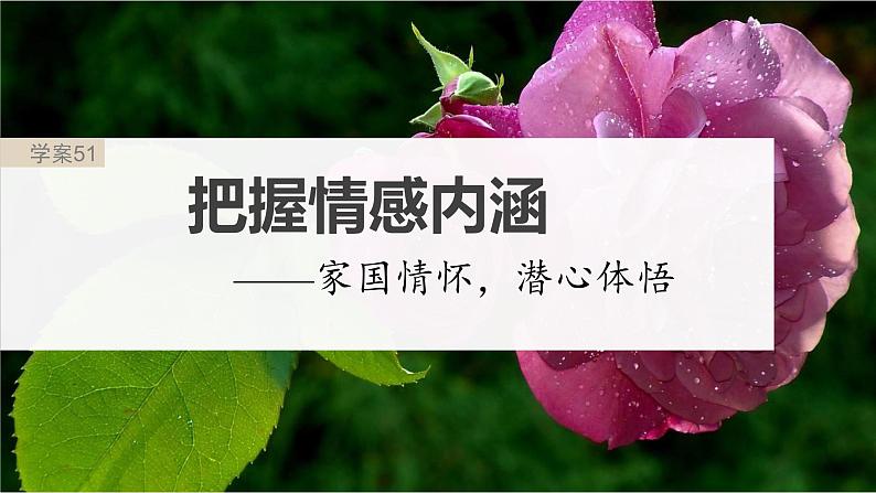 高考语文一轮复习-- 古诗词阅读与鉴赏 课时51　把握情感内涵——家国情怀，潜心体悟（精品课件）02