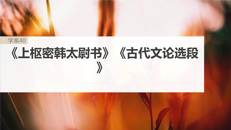 高考语文一轮复习-- 教材内文言文复习 课时40　《上枢密韩太尉书》《古代文论选段》（精品课件）02