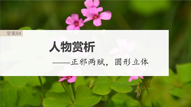 高考语文一轮复习--《红楼梦》 课时84　人物赏析——正邪两赋，圆形立体（精品课件）第2页