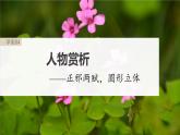 高考语文一轮复习--《红楼梦》 课时84　人物赏析——正邪两赋，圆形立体（精品课件）